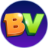 bingovillage.com-logo