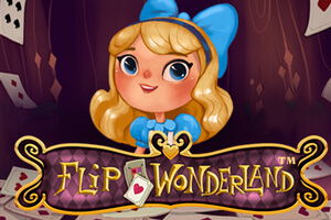 Flip Wonderland